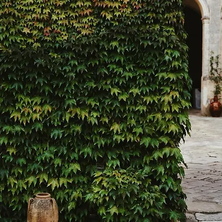 Palazzo Daniele, A Member Of Design Guest house Gagliano del Capo