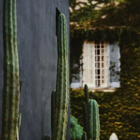 Palazzo Daniele, A Member Of Design 3* Gagliano del Capo